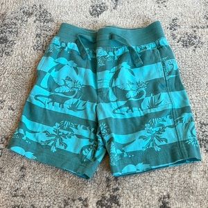 Gap shorts